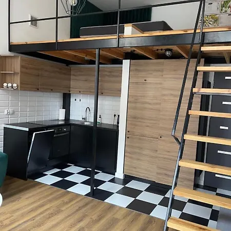Apartament Urokliwy Loft W Ncl Kamienica Vabank 34 *